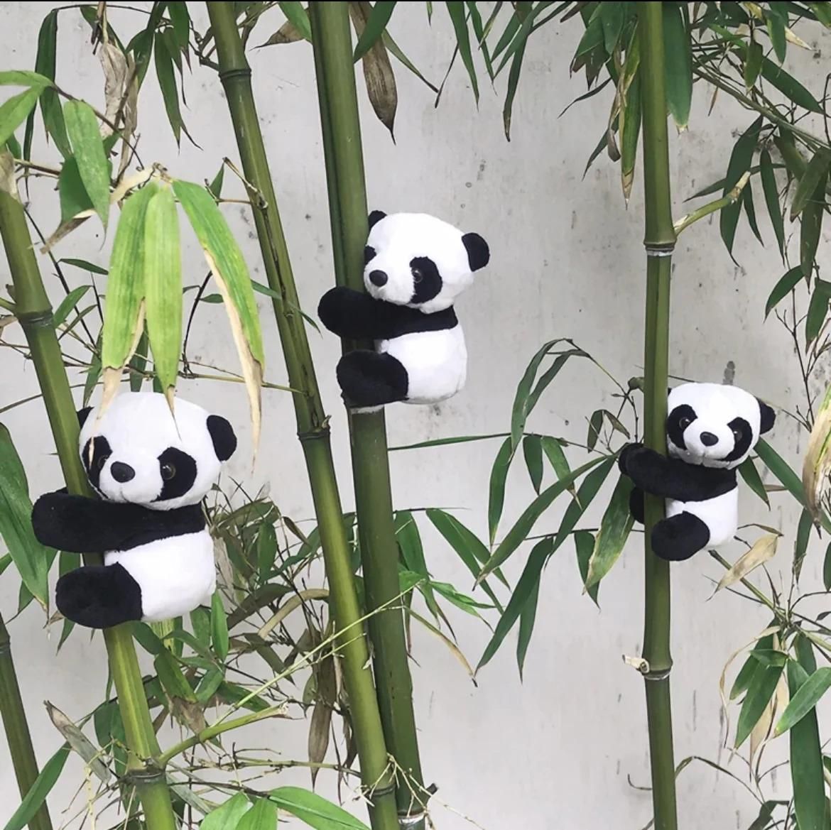 Four cute panda magnets for home and office, designed by 1h8x0d-zb, showcasing a stylish refrigerator accessory.